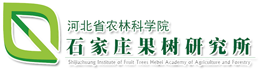 電表箱,電纜分支箱,低壓配電柜